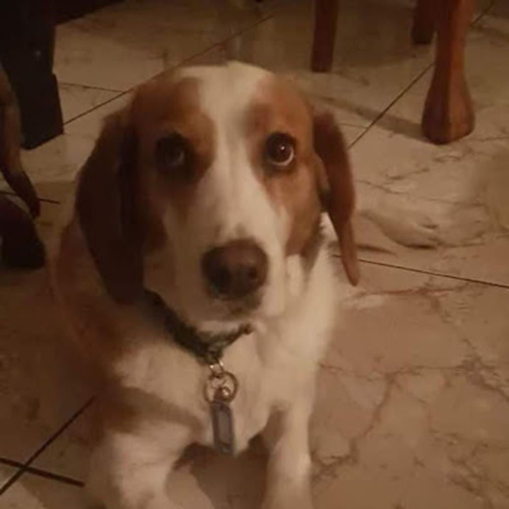 Meet your Posher, Marcoinoc